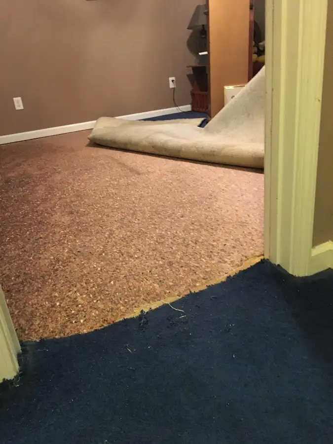 Carpet pad removal revealing water damage during Drying & Dehumidification in Stratmoor
