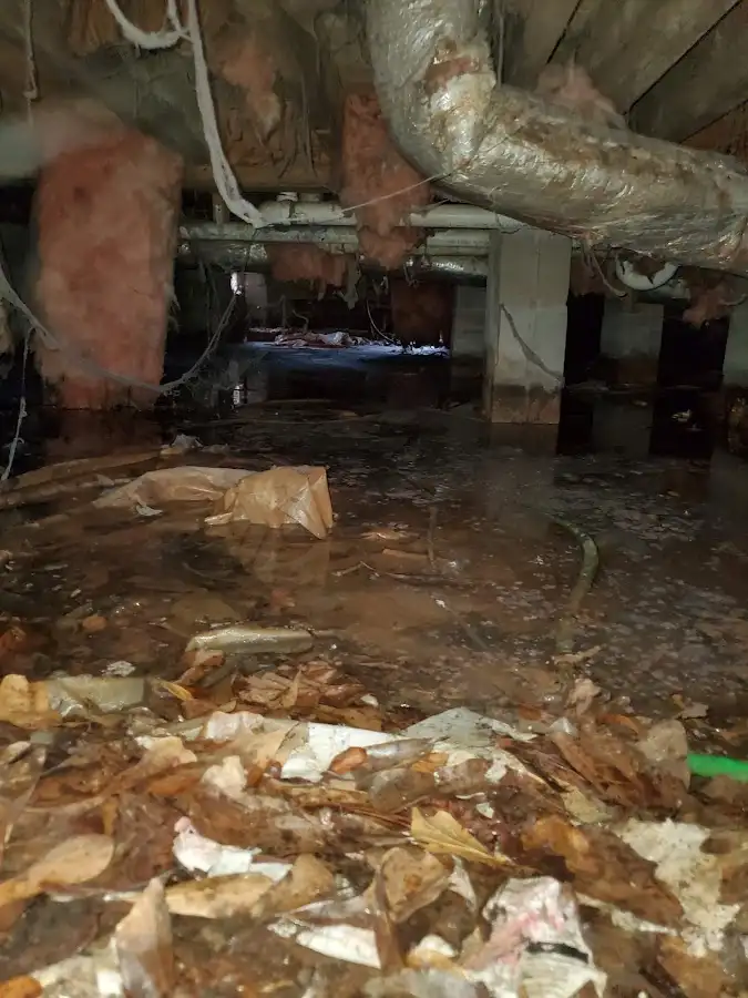 Crawl space flood assessment for Leak Detection & Repair in Stratmoor